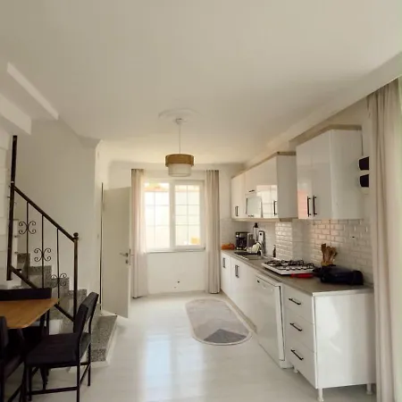Erikli Villa Halic